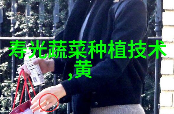 红紫山药种植技术
