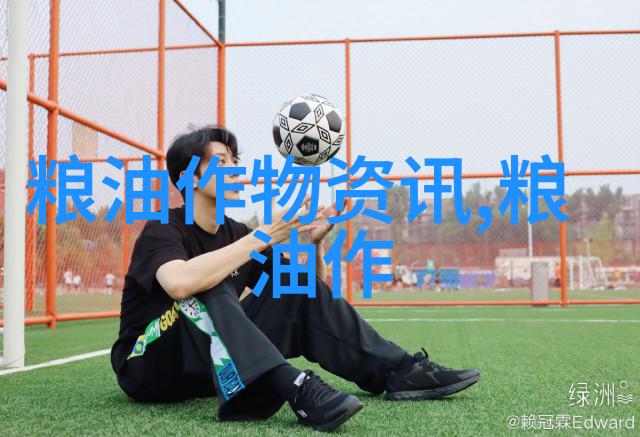 海南引种650亩多年再生水稻