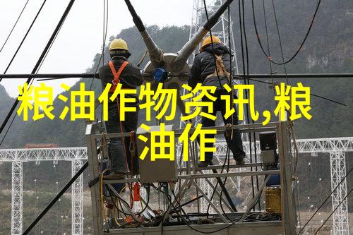 小土豆创造致富大产业
