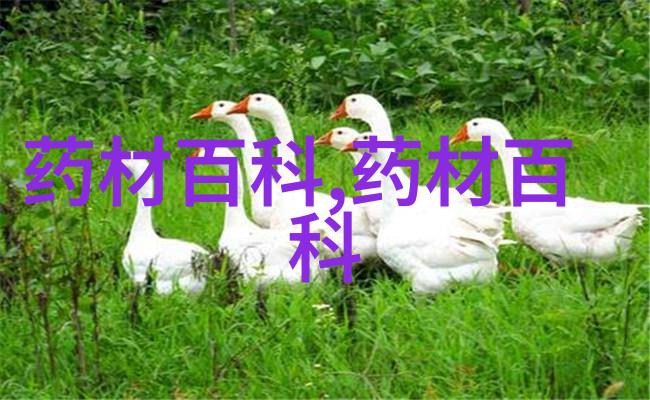 牵牛子_本草图经