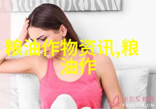 玉米市场价格承压走低