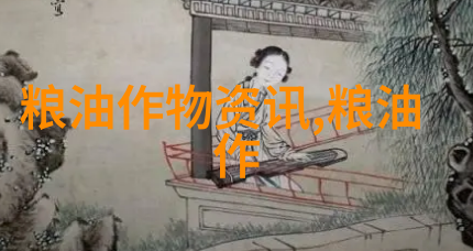 黑豆减肥需要正确用量
