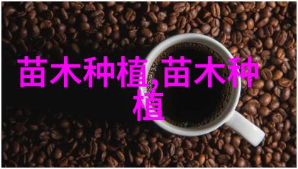 杨树秋冬栽培要点