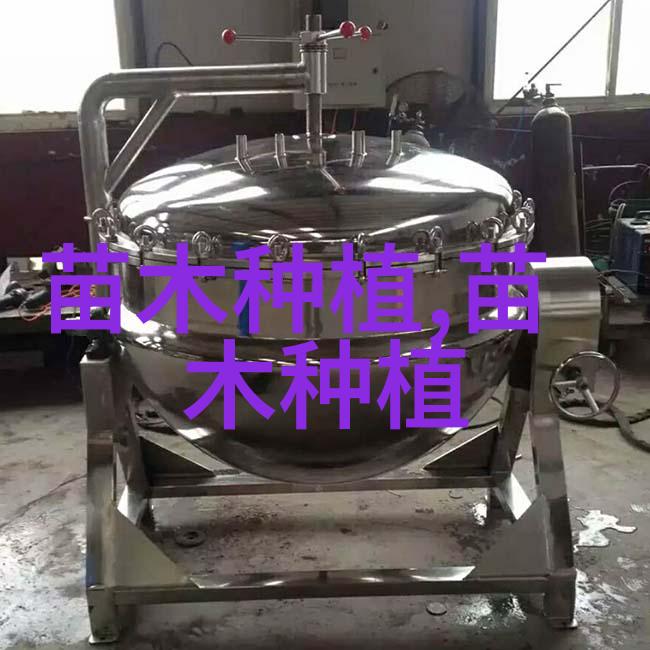 侧柏怎么播种育苗