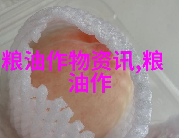 玉米煮多长时间比较好
