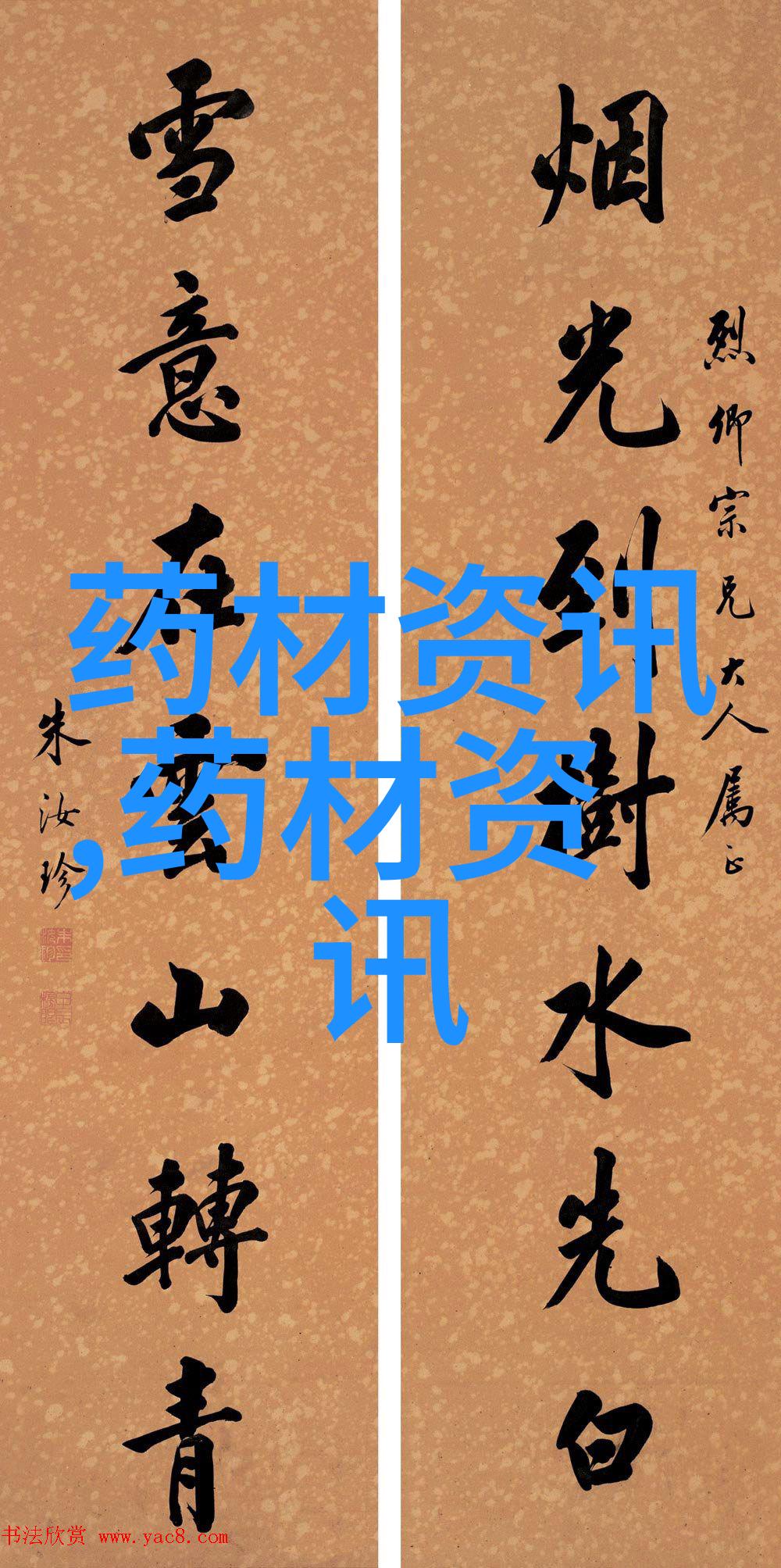 从花卉创业到成功路上的真实案例分享