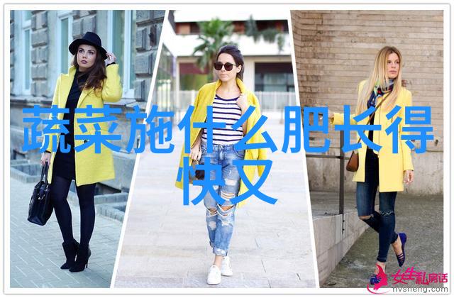 山药镰孢褐腐病防治方法