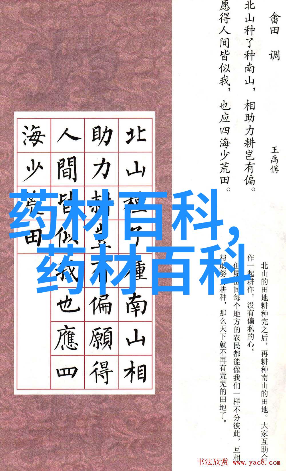 芡实_本草备要