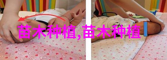 杨树锈病的防治