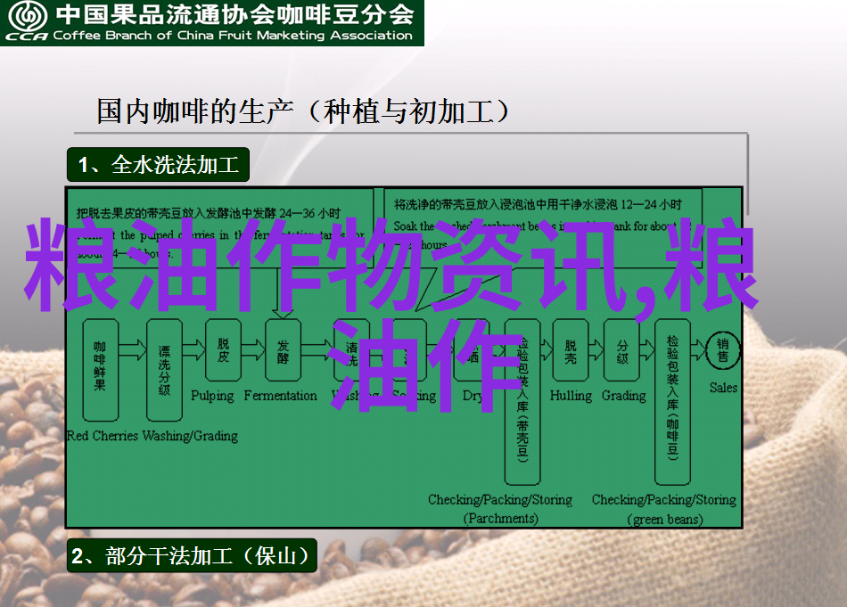 玉米煮多久能熟