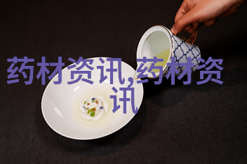 广州多肉植物养护指南从新手到专家的全方位攻略