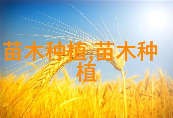 榆树盆景的养护技术