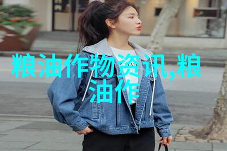 玉米花的药理作用