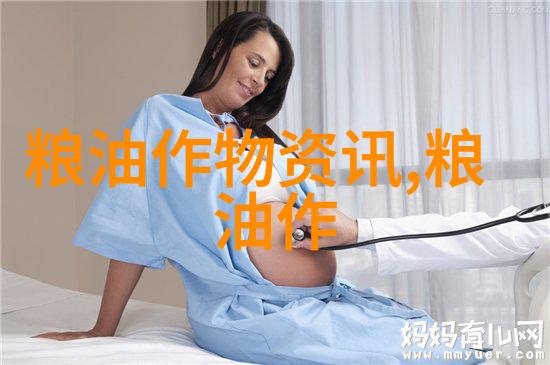 玉米面的热量