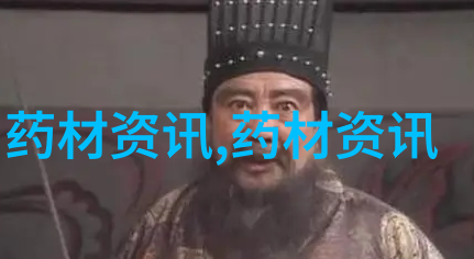银星多肉如何让这款星星点亮你的植物收藏