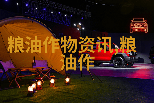 玉米胚芽粕介绍